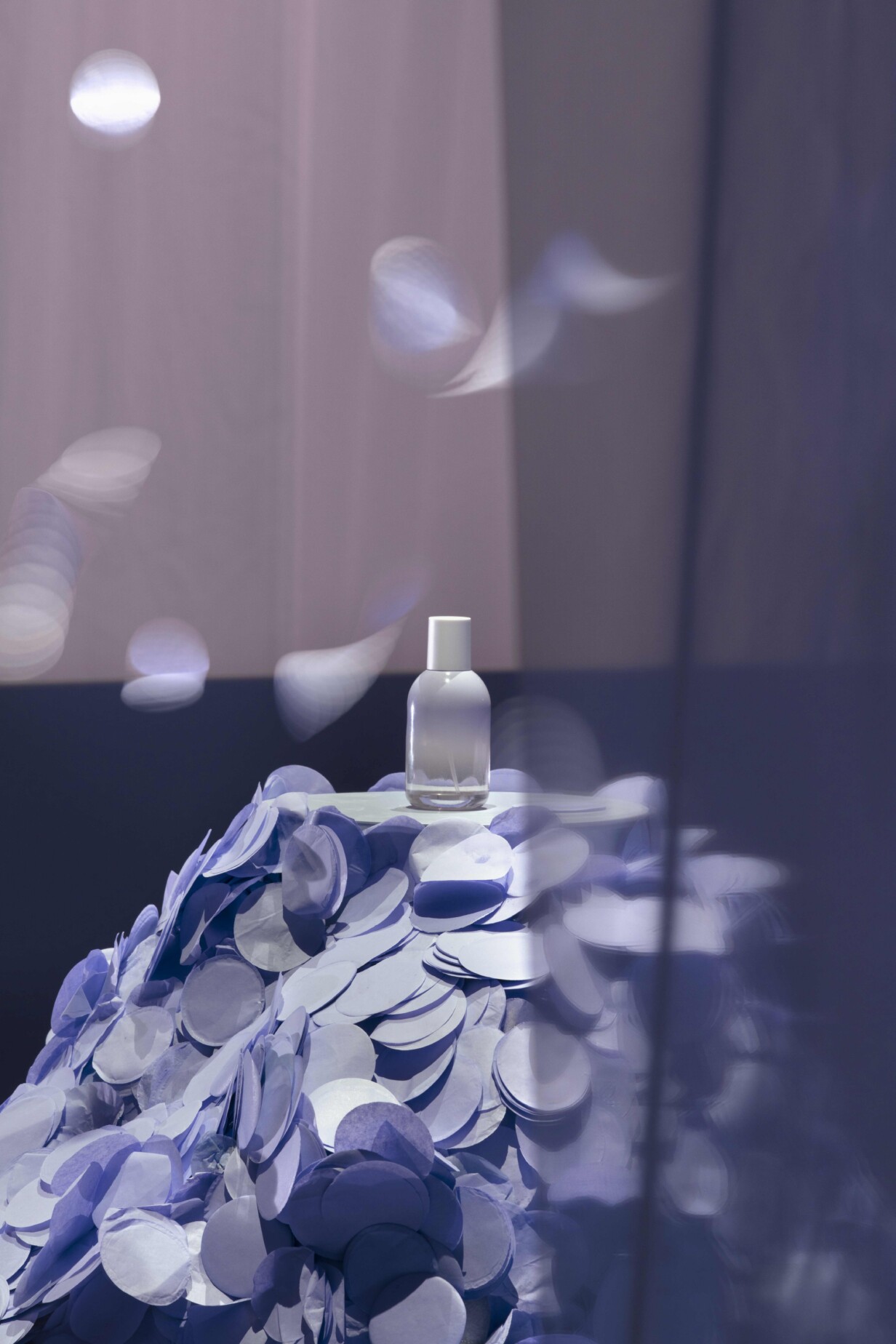 RANDOM_GLOSSIER_00001