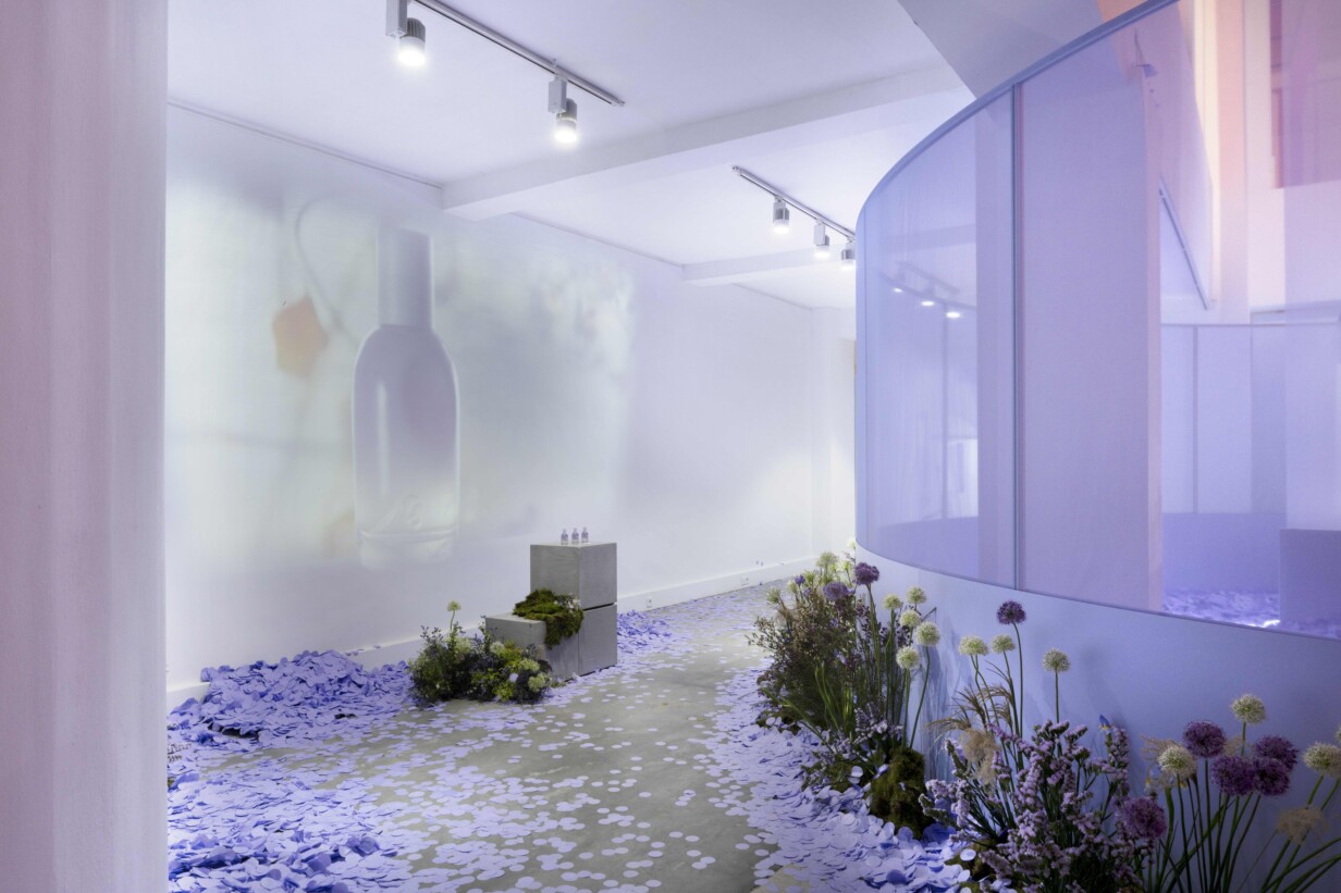 RANDOM_GLOSSIER_00041